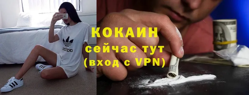 mega ТОР  как найти закладки  Дорогобуж  Cocaine 98% 